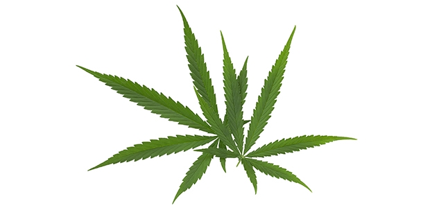 Aprinnova’s Solid CBD Stick